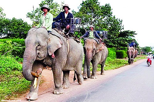 ភូមិDon-ទីកន្លែងគួរឲ្យទាក់ទាញ - ảnh 1